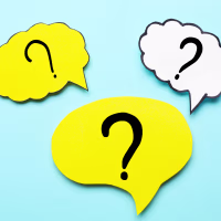 Easy Trivia Questions