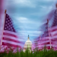 American flags planted to commemorate lung cancer victims fly in the wind along the National Mall.