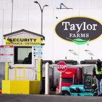 Cyclosporiasis Outbreak Traced To Iceberg Lettuce From Produce Giant Taylor Farms