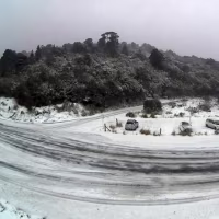 Image: A snowy road with parked cars and trees in the background