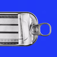 An empty sardine can