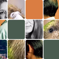 Grid of obscured images 