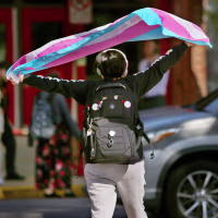 A person holds a transgender flag in the air. 