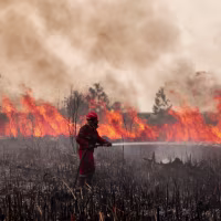 Wildfire In Sumatera, Indonesia
