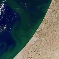 Algae bloom in the water off Israel