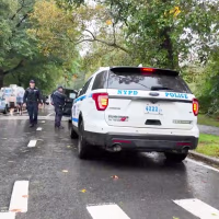 Image: An NYPD vehicle parked in Central Park.