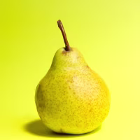 Pears still life with yellow background,Maimara,Jujuy,Argentina