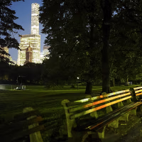 New York skyscrapers are seen through silhouetted foliage in Central Park at night.