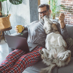 Looking to remove pet hair from your home? Shop the best pet hair removal tools including vacuums, brushes, and rollers from Bissell, Dyson and more.