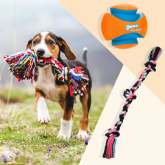 Illustration of a puppy holding a colorful toy in his jaw, a kong, ball and a rope toy. The best dog toys in 2021 include squeaky toys, chew toys, Kong dog toys, stuffed plush dog toys and rope toys from Amazon, Walmart, Chewy and more.