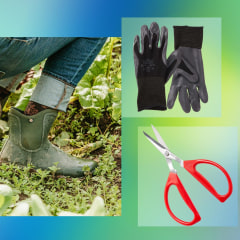 Woman wearing Suave Slip on Boots, Joyce Chen Red Original Unlimited Kitchen Scissors, Nitrile Palm Coating Glove and a family gardening