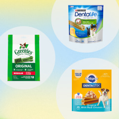 See the best dental treats for dogs to try in 2022. Learn how to shop for dog dental treats and shop the best ones from Greenies, Purina, Milk-Bone and more.