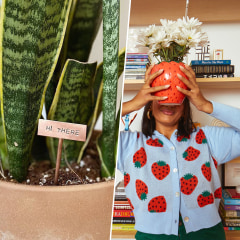 Woman holding the Strawberry Field Case in front of her face and a  Copper Plant Markers