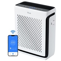 The 4 best affordable air purifiers of 2024