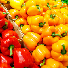 Bell Peppers on Display at Supermarket