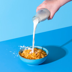 Pouring milk in a cereal bowl on a blue background. Cornflakes and milk.