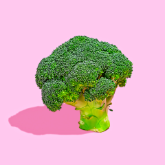 Studio shot of broccoliagainst pink background