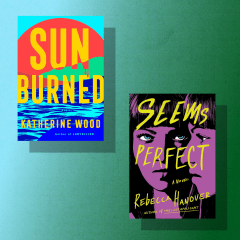 "Seems Perfect: A Novel" by Rebecca Hanover / "Sunburned: A Novel" by Katherine Wood / "The Devil at His Elbow" by Valerie Bauerlein / "Problematic Summer Romance" by Ali Hazelwood