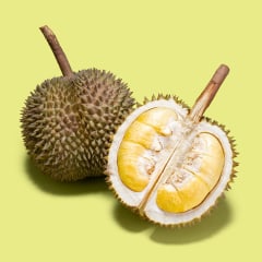 Opened Durian Tropical Fruit on Green Colored Background.