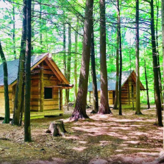 TimberTown Cabin at June Farms