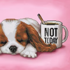Not Today Diamond Painting Set