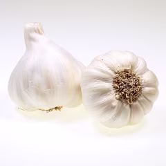 Garlic