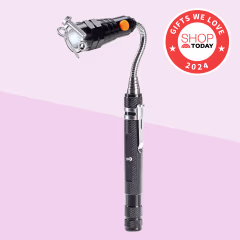 Dream Master LED Magnetic Pick Up Tool