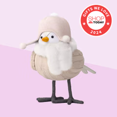 Featherly Friends Holiday Birds