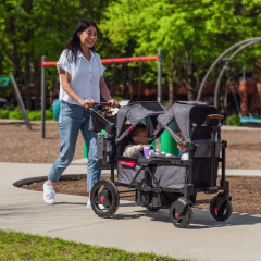 Radio Flyer Voya Stroller Wagon