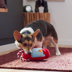 Frisco Camping Lantern Plush with Rope Squeaky Dog Toy