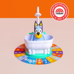 Bluey Splash Time Game