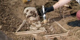 Archaeologist excavating skeleton.