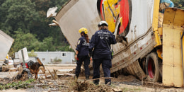 People look through debris near a damaged truck outside with a dog