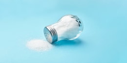 Salt shaker