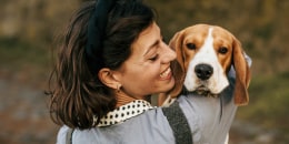 Beagle and woman stock photo