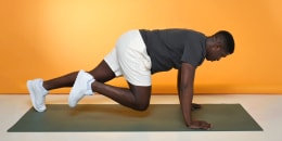 Mountain Climbers