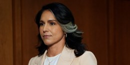 News: Intelligence Hearing Senate tulsi gabbard director of national intelligence