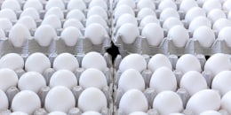 Cartons of chicken eggs at the supermarket.