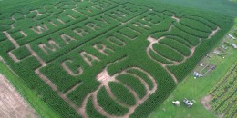 Marriage proposal etched into a 13-acre corn maze.