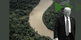 A photo illustration that includes a photo from COP30, a photo of the Amazon region and a photo of Donald Trump.