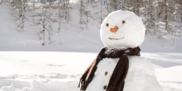 Snow Quotes