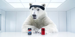 A polar bear looks at a can of Pepsi, left, and a can of Coca-Cola while seated in an all-white room at a table