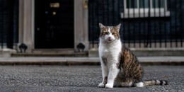 Ministers Attend Cabinet Amid Tory Leadership Race