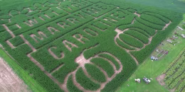 Marriage proposal etched into a 13-acre corn maze.