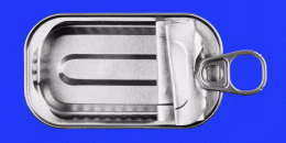 An empty sardine can