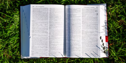 Image: A Merriam-Webster's dictionary is seen placed on a lawn