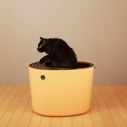 iris top entry litter box