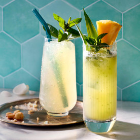 Neil Patrick Harris and David Burtka's Cocktail/Mocktail Recipes