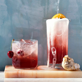 Neil Patrick Harris and David Burtka's Cocktail/Mocktail Recipes