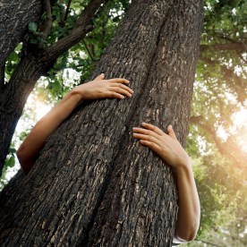 Woman hugging a big tree 